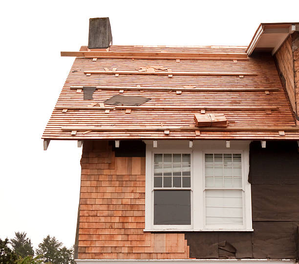 Affordable Siding Repair and Maintenance Services in The Pinehills, MA